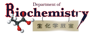 Department of Biochemistry, Gunma University Graduate School of Medicine